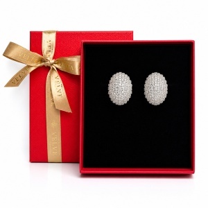 Cercei eleganti bombati cu cristale zirconiu cubic pave, in cutie cadou, Argintiu - Img 4