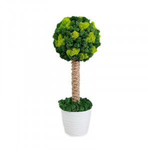 Copacel din licheni stabilizati Greenfresh, 55 cm inaltime, 65 cm circumferinta