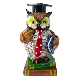 Figurina din rasina Bufnita absolvent cu carte, simbol intelepciune, 16 cm - Img 6