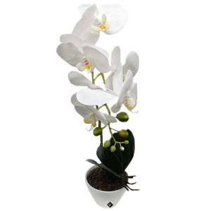 Orhidee alba cu aspect natural in ghiveci ceramic alb, 45 cm