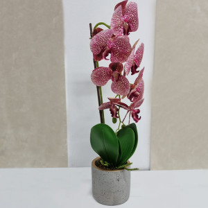 Orhidee cu aspect natural in ghiveci ceramic gri, 50 cm - Img 4