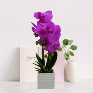 Orhidee cu aspect natural in ghiveci ceramic patrat alb, 35 cm - Img 8