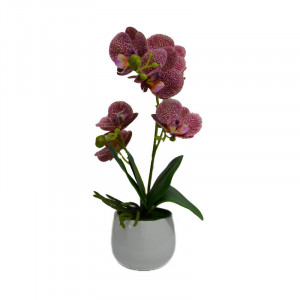 Orhidee cu aspect natural in ghiveci ceramic rotund alb, 35 cm - Img 6