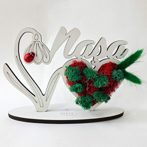 Ornament din lemn Draw Me, ce poate fi personalizat cromatic, cu tematica individuala (Nasa), cu buburuza rosie, licheni stabilizati si imortele, Verde - Img 8