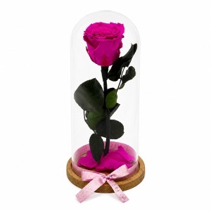 Trandafir criogenat premium XL in cupola de sticla, fucsia, tulpina naturala, inaltime 25 cm