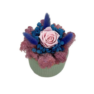 Aranjament floral cu trandafir criogenat pe pat de licheni, in bol ceramic, verde-roz