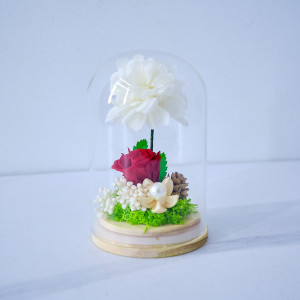 Aranjament floral in cupola de sticla cu trandafir si hortensie criogenate, Rosu, 8 x 13 cm 2