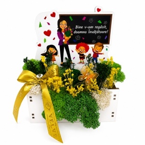 Aranjament floral pentru Invatatoare cu trandafir verde criogenat, lagurus si licheni stabilizati, in cutiuta decorativa cu mesaj special