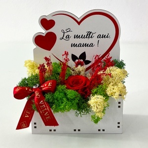 Aranjament floral pentru Mama cu trandafir rosu criogenat, licheni stabilizati si funda satinata, in cutiuta decorativa - Img 6