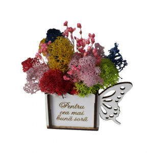 Aranjament floral Whiff, in cutie de lemn, cu personalizare serigrafica, licheni stabilizati si plante uscate, Sora/Roz - Img 5