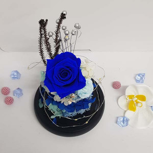 Buchet de trandafiri criogenati in cupola de sticla cu LED, albastru - blue, 21X12
