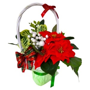 Cos floral Craciunita cu licheni naturali stabilizati, flori artizanale si ornamente de iarna, Rosu-Verde