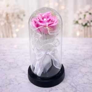 Eterno, trandafir sapun in cupola de sticla cu LED, Roz