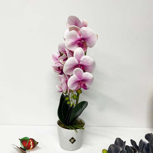 Orhidee alb cu roz cu aspect natural in ghiveci ceramic alb, 50 cm