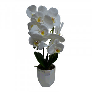 Orhidee cu aspect natural in ghiveci ceramic alb, 50 cm - Img 4