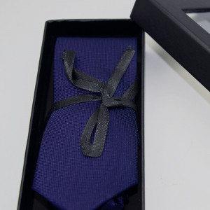 Set 3 piese Elegant, pentru barbati, cravata, buton si batista din stofa, albastru, EC1