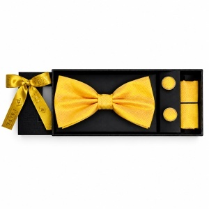 Set 3 piese Elegant pentru barbati, papion, batista si butoni, Galben auriu
