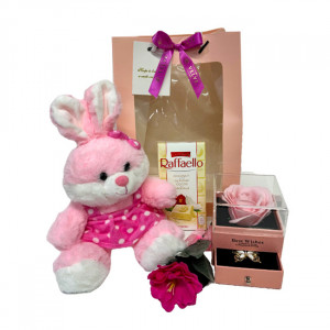 Set cadou Special Valentine, cu ursulet de plus 25cm, ciocolata Raffaello 90gr, cutie cu sertar, brosa, trandafir sapun roz, in punga cadou