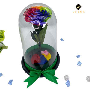 Trandafir Criogenat cu accesorii, blat negru, pe pat de petale, multicolor