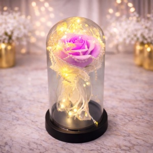 Trandafir de sapun Eterno in cupola de sticla cu LED, Mov