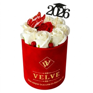 Aranjament floral absolvire 2026 VLV, cu 9 trandafiri de sapun, in cutie rosie de catifea, cu fluturas decorativ, Alb-Rosu