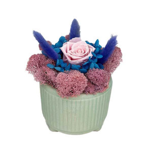 Aranjament floral cu trandafir criogenat pe pat de licheni, in bol ceramic, verde-roz