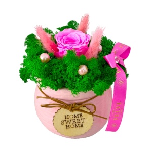 Aranjament floral Home cu trandafir criogenat roz, lagurus si licheni stabilizati in vas ceramic