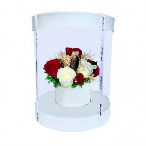 Aranjament floral in cutie cilindrica transparenta, cu 11 trandafiri criogenati pe pat de licheni stabilizati, alb 