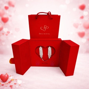 Cercei eleganți argintii in caseta de bijuterii romantică „Eternity”