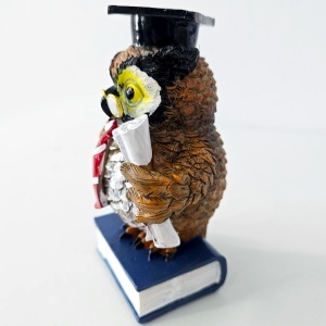 Figurina din rasina Bufnita absolvent cu diploma, simbol intelepciune, 16 cm - Img 4