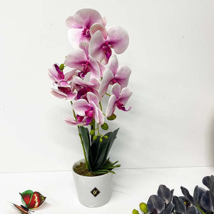 Orhidee alb cu roz cu aspect natural in ghiveci ceramic alb, 50 cm