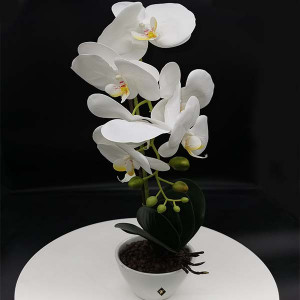 Orhidee alba cu aspect natural in ghiveci ceramic alb, 45 cm