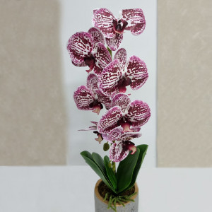 Orhidee cu aspect natural in ghiveci ceramic gri, 50 cm - Img 6