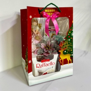 Pachet cadou Merry Christmas, praline Raffaello 150gr, Apa de toaleta Frozen 30ml, balasam de buze Princezna 4.8gr, decoratiuni craciun, ambalate in punga cadou imprimeu sarbatori
