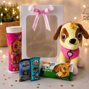 Set complet pentru fete Skye Paw Patrol, jucarie de plus, gel de sus 2in1 si selectie de dulciuri, in ambalaj premium cu funda - Img 3