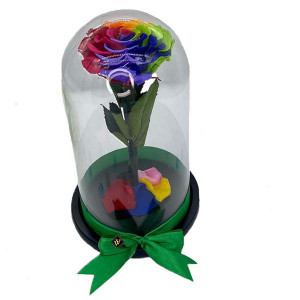 Trandafir Criogenat cu accesorii, blat negru, pe pat de petale, multicolor