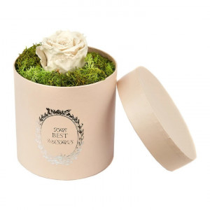 Trandafir criogenat Pretty in Pink decorat in cutie rotunda cu licheni naturali stabilizati Alb