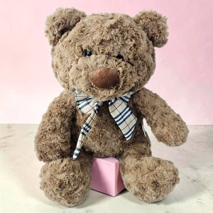 Ursulet de plus cu fundita, maro, 35 cm - Img 5