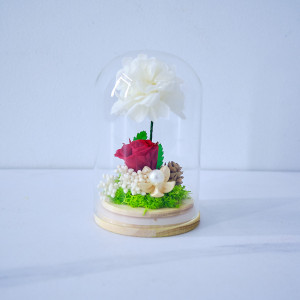 Aranjament floral in cupola de sticla cu trandafir si hortensie criogenate, Rosu, 8 x 13 cm