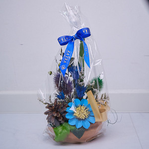 Aranjament floral in ghiveci, din flori uscate, albastru, 27cm