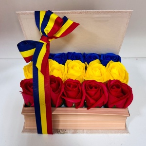 drapelul romaniei