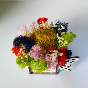 Aranjament floral Whiff, in cutie de lemn, cu personalizare serigrafica, licheni stabilizati si plante uscate, Prietena/Crem1