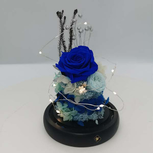 Buchet de trandafiri criogenati in cupola de sticla cu LED, albastru - blue, 21X12