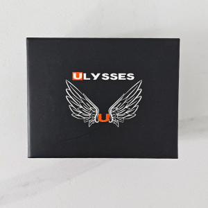 Ceas barbatesc Ulysses ALPHA, cu quartz si cadran din otel inoxidabil, in cutie eleganta, Verde 3