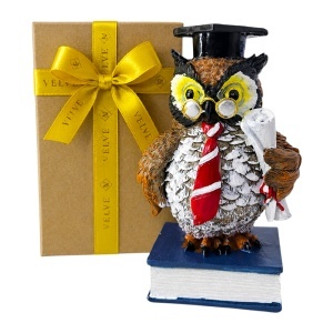 Figurina din rasina Bufnita absolvent cu diploma, simbol intelepciune, 16 cm