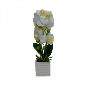 Orhidee cu aspect natural in ghiveci ceramic patrat alb, 35 cm - Img 3