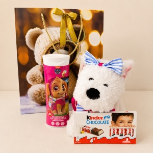 Set pentru fete Joy Pack, catelus de plus, gel de dus 2in1 Paw Patrol si ciocolata Kinder - Img 5