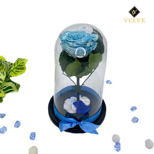 Trandafir Criogenat cu accesorii, blat negru, pe pat de petale, blue