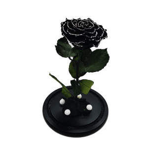 Trandafir Criogenat cu accesorii, blat negru, pe pat de petale, negru
