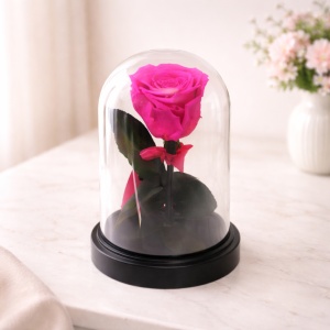 Trandafir criogenat cu funda, in cupola de plastic, pe blat negru, roz